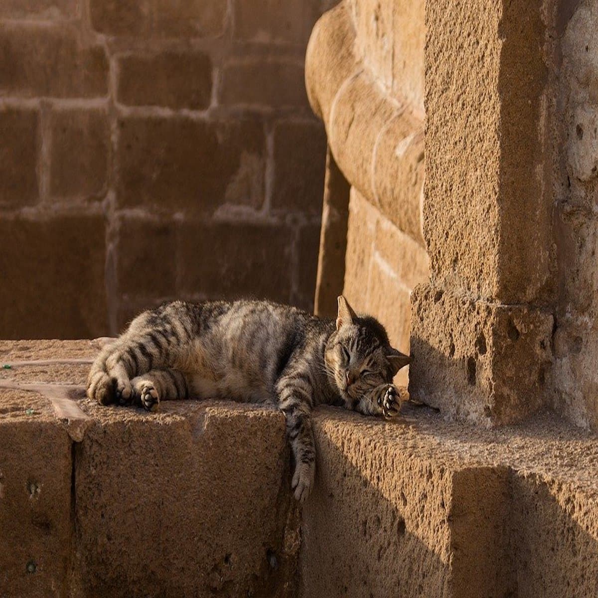 5 Bad Effects of Procrastination - Positivity Stories