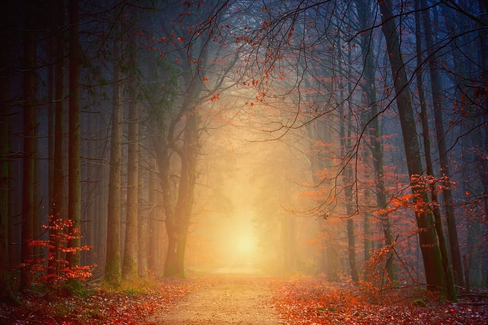 8 Simple Tips to Have Faith in Yourself to Achieve Success - Positivity Stories