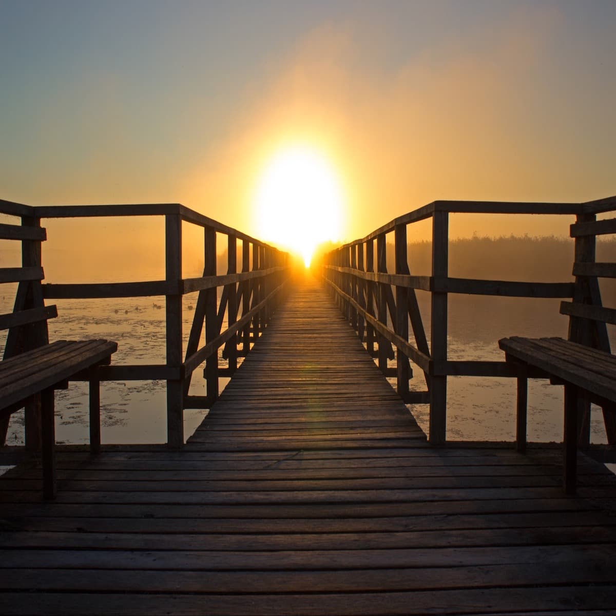 The Importance of Optimism in Life - Positivity Stories