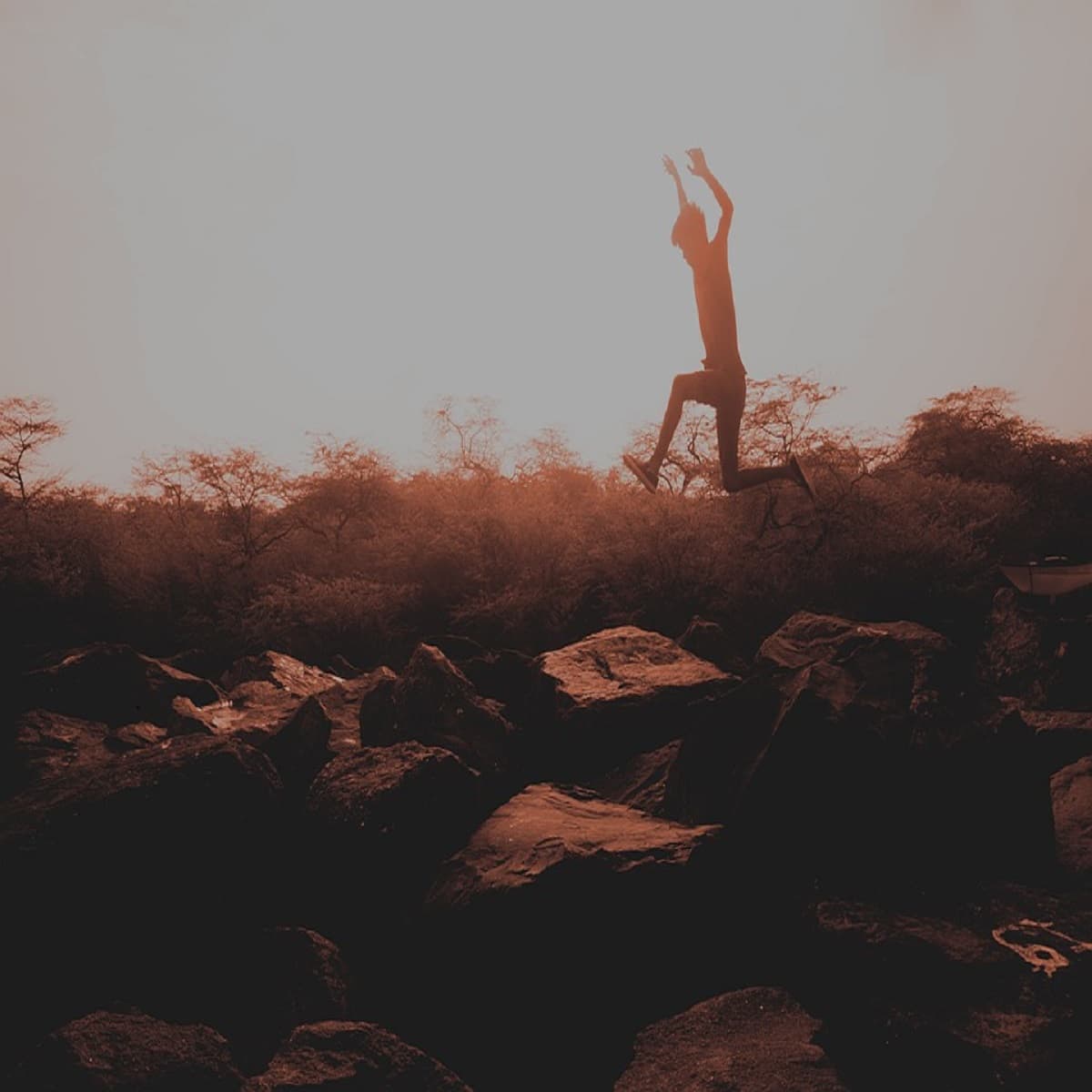 Intrinsic & Extrinsic Motivation for Success: The Two Factor Theory for Your Road to Success - Positivity Stories