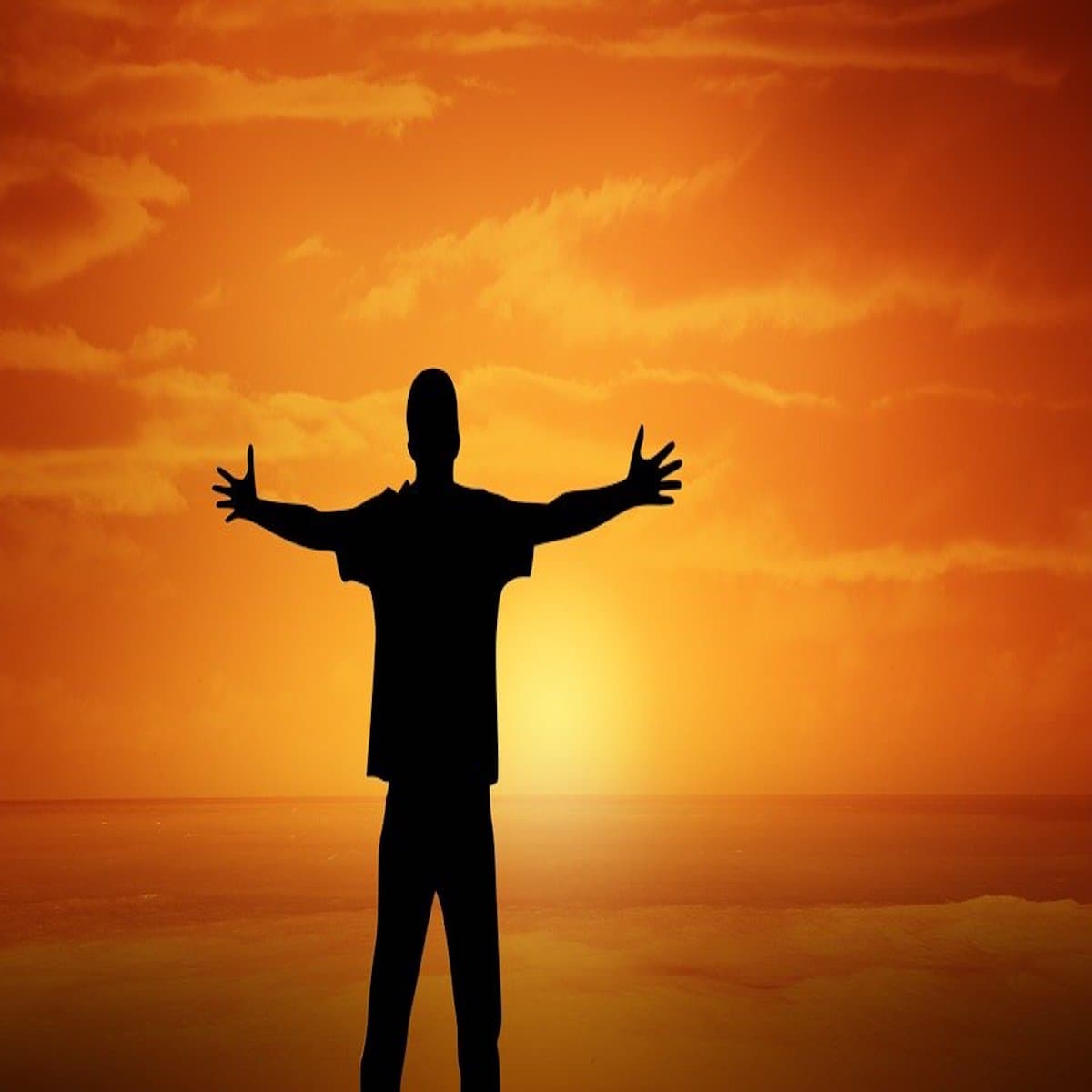 Optimize Your Life - Positivity Stories