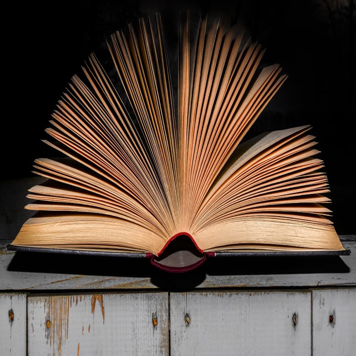 Read a Book as the Keys to Success for People - Positivity Stories