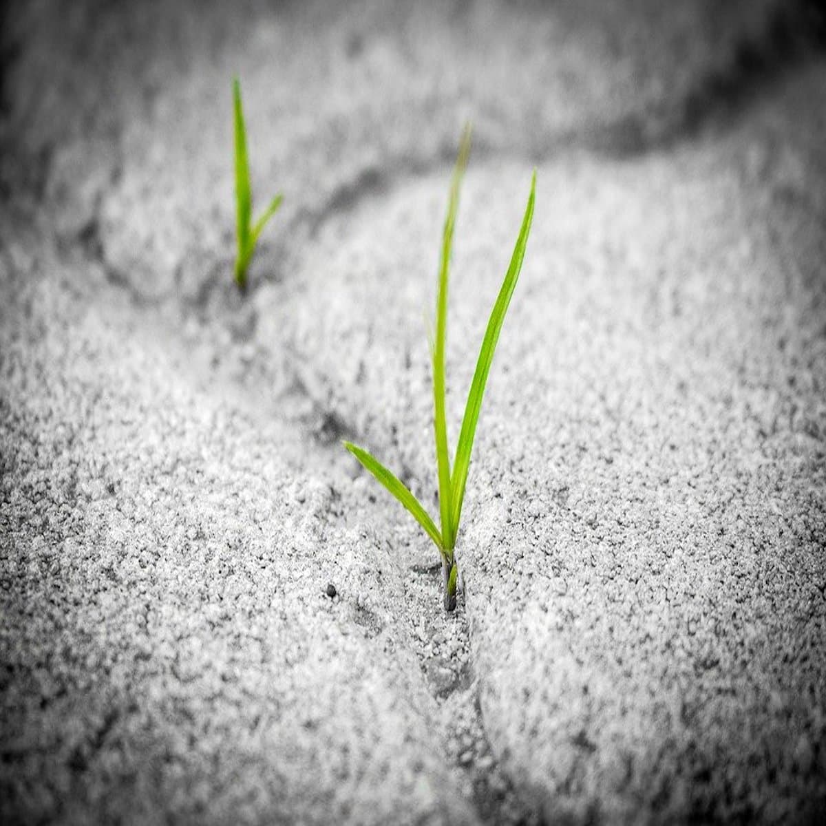 Why Persistence is Important - Positivity Stories